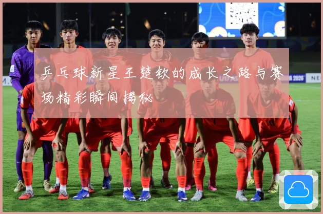 乒乓球新星王楚钦的成长之路与赛场精彩瞬间揭秘